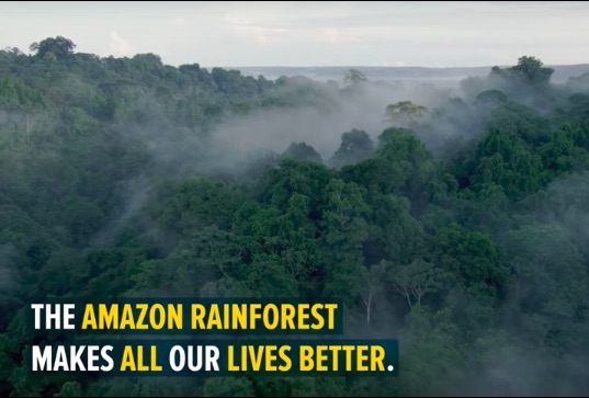 World's Largest Tropical Reforestation to Plant 73 Million Trees in Brazilian Amazon