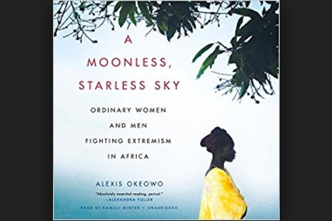 Book review: A Moonless, Starless Sky by Alexis Okeowo