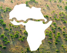 Great Green Wall Brings Hope, Greener Pastures to Africa’s Sahel