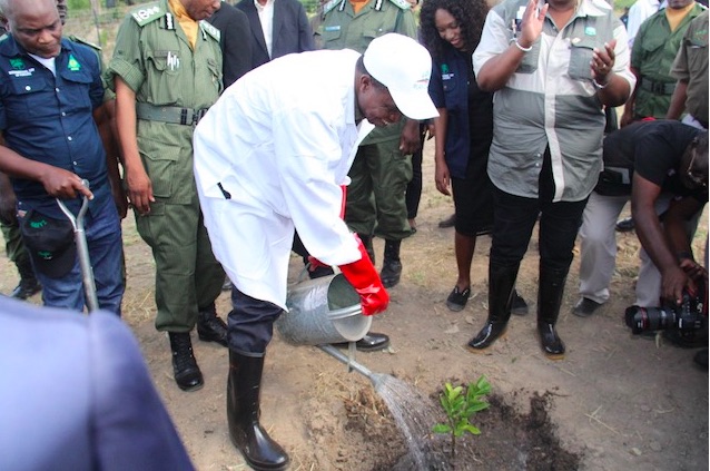 Leading from the Front: Zambia Launches Plant a Million Trees Initiative