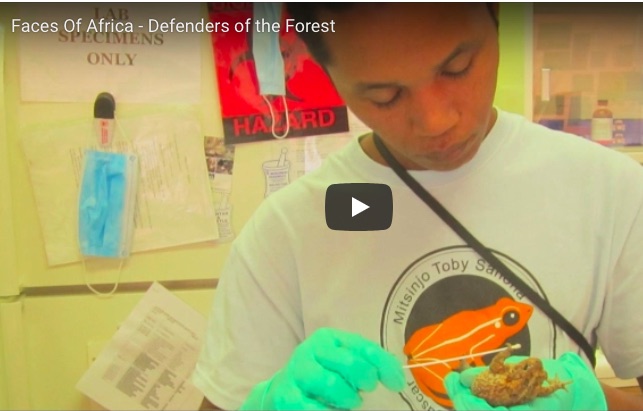 Faces Of Africa – Defenders of the Forest [Madagascar]