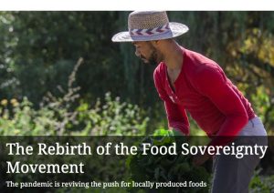 What is the relation between movements for food sovereignty and the global movement for a culture of peace?
