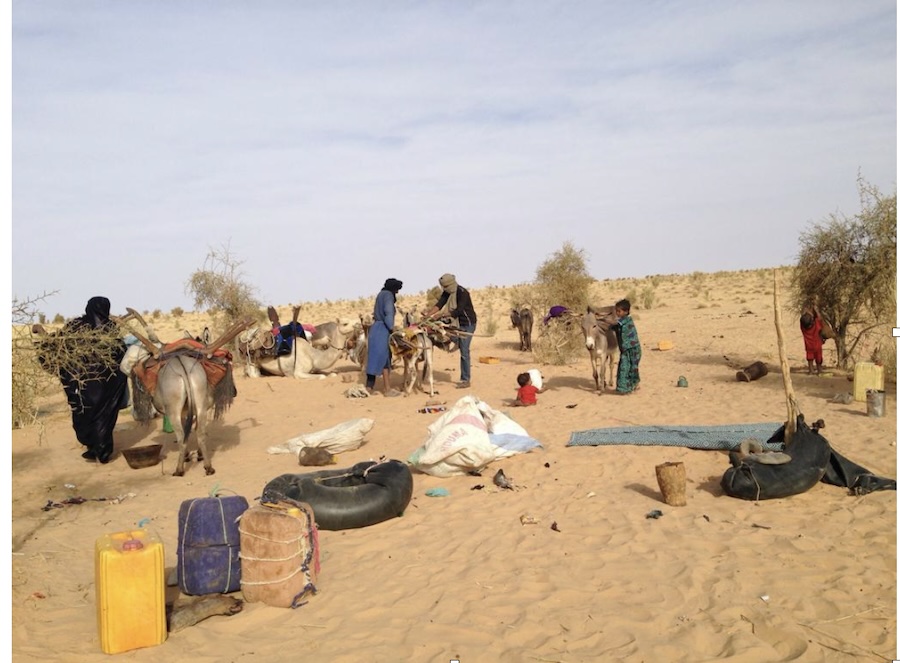 Eau et paix dans la zone de Tessalit au Mali