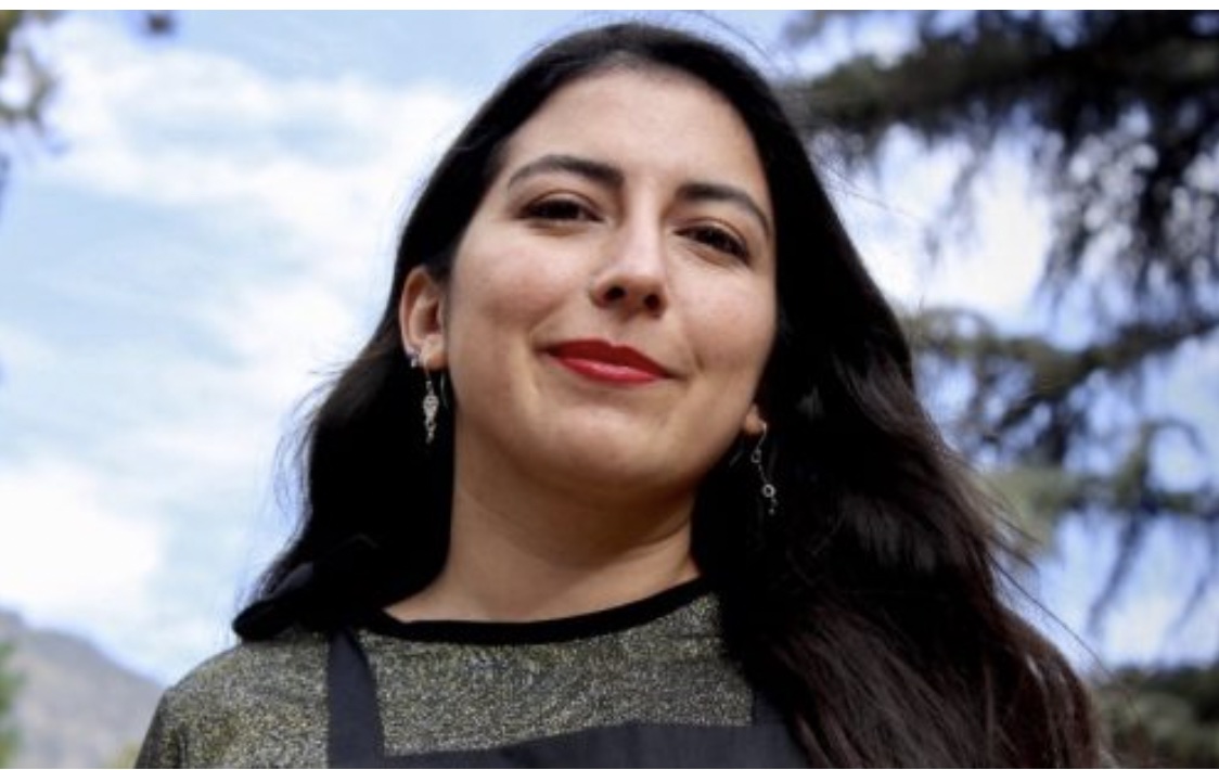 Chile - Interview with Alondra Carrillo: "The feminist transformation of the State is unavoidable, it is a fact"
