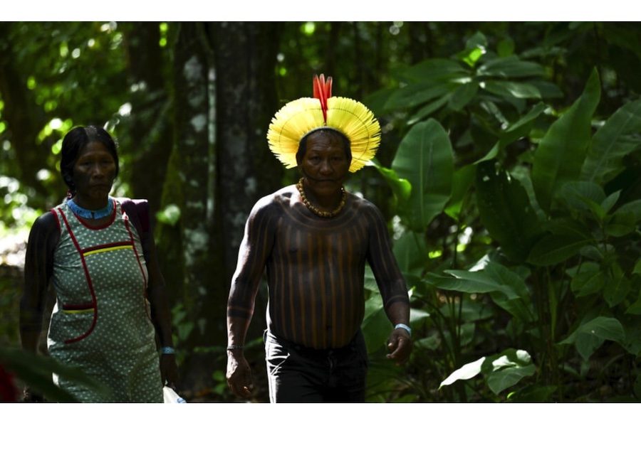 Amazon Rainforest Nations Gather to Forge a Shared Policy