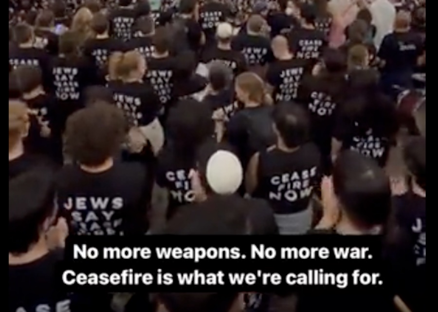 Israeli War on Gaza Sparks 'Largest Mass Mobilization of Jews in American History'