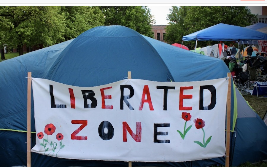Recasting the narrative of pro-Palestine student encampments: a commitment to nonviolent changemaking